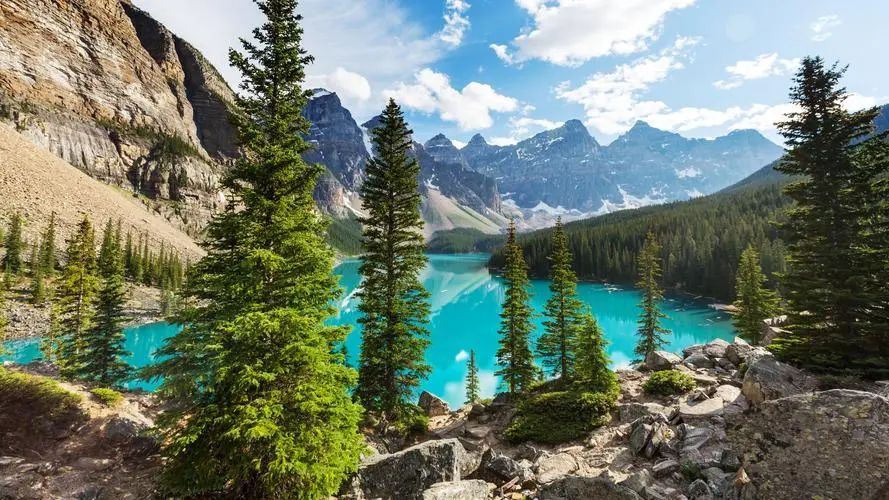 数字化创新工业